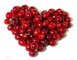 high quality cranberry fruit powder sample free--Cranberry juice