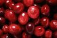 High Quality Cranberry Fruit Extract --Vaccinium Macrocarpon L for healthcare ingredient application supplier