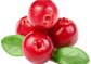 high quality cranberry fruit powder juice powder Cranberry juice powder Cranberry extract