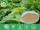 GMP Certified Manufacturer Supply Mulberry Fruit Extract Powder China supplier mulberry fruit powder -- Morus alba L.
