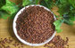 Good Quality Polyphenols Extracted from Vitis Vinifera Seed (Vitis vinifera L)