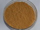 factory supply wolfberry extract powder free samples or goji extract--Lycium barbarum L.