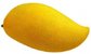 fruit powder mango juice drink powder factory price/high quality mango seed powder factory supplier