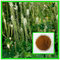 Hot Sale:100% natural black cohosh powder black cohosh extract--Cimcifuga racemosa