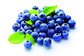 100% Natural Anti-Oxidant Product Anthocyanidin 25% Blueberry Extract