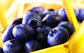 no pigment no essence Natural Fruit Nutritional Blueberry Extract Blue Berry Fd Powder supplier