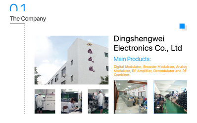 Dingshengwei Electronics Co., Ltd