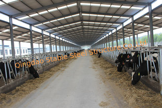 China Steel structure cowshed supplier