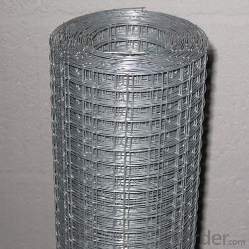 Electro Galvanized Welded Wire Mesh|By Low Carbon Steel Wire 1/4~12inch