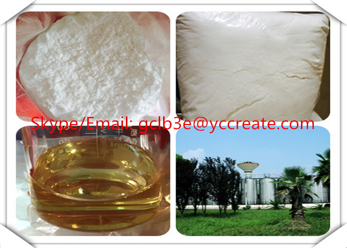 Cutting And Bulking Cycle Injectable Anabolic Steroid Masteron / Drostanolone Propionate / Dromostanolone Propionate