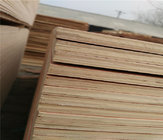 low price packing grade plywood from china