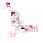 Private label manufactures customized sugar free Tic Tac Mints Fruity Candy