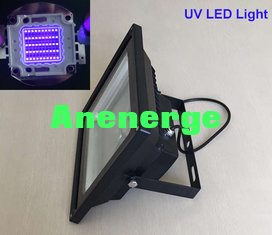 China LED Flood Light  5000lm Wavelength 390-405nm 2700-7000K 50W UV With Plug CE ROHS supplier