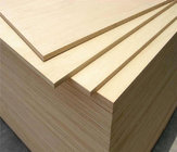 wholesale Okoume/Bintangor/Poplar/Birch Commercial Plywood