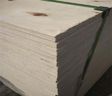 Wholesale products poplar core pine Plywood from china