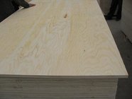 E1 pine Plywood
