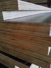 Hot Sales finger joint Core Film Faced Plywood with Competitive Price