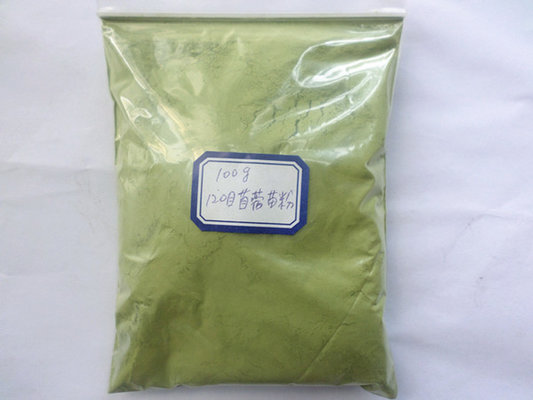 Green Alfalfa Leaf Powder Food Grade 200mesh for Health Care Food Beverage