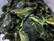 Kosher Certified Kale Powder Dehydrated Kale powder Manufacturer Sale