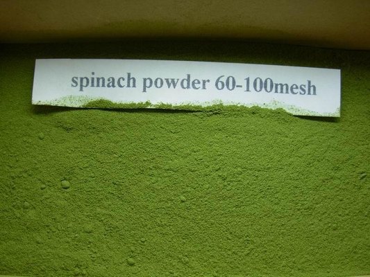 Spinach Powder Dehydrated Spinach Powder  China Origin Wholesaler