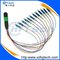 Singlemode 12Core MPO/LC Fiber Patch Cord Cable 0.9mm supplier