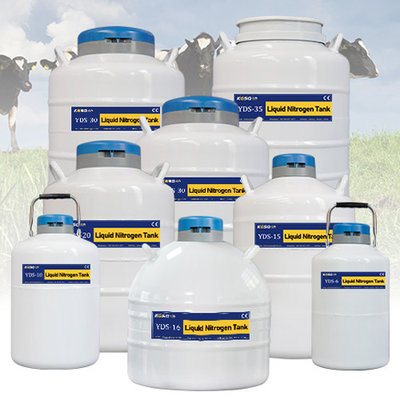 China Uzbekistan liquid nitrogen dewar semen tank KGSQ cow sperm container supplier