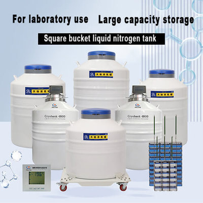 China Chile laboratory dewar KGSQ liquid N2 tank supplier