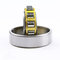 China supply NSK Brand cheap price auto cylindrical roller bearing NU1034-M1 supplier
