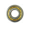 China supply NSK Brand cheap price auto cylindrical roller bearing NU1040-M1 supplier
