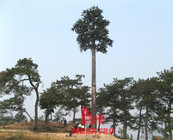 Camouflage tree antenna covers for telecom