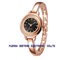 Ladies watch with golden metal band bracelet buckle and double circle case black color dial supplier