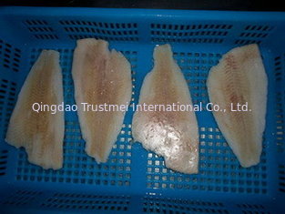 Yellowfin sole fillets skinless PBO