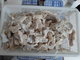Dry salted cod migas 48-50% moisture, 50-52% in bulk