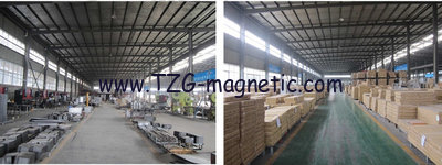 Dongyang Tzg magnet Co.,Ltd.