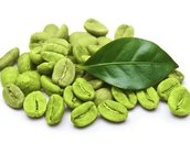 Best Seller Green Coffee Bean Extract Chlorogenic acid