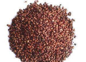 Hot Selling Grape seed Extract OPC