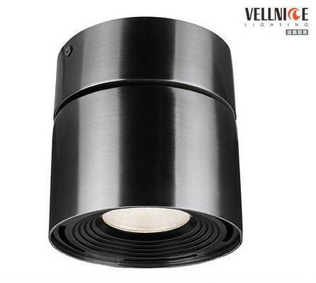 China 14Watt Brushed Outdoor LED Ceiling Lights With High Waterproof IP44 1050lm supplier