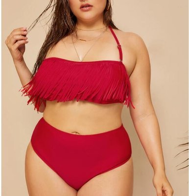China 2019 New Plus Size Two piece Tassel High Waist  Swimsuit Women Push up supplier