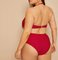 2019 New Plus Size Two piece Tassel High Waist  Swimsuit Women Push up supplier