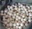 china factory Colored Pure Genuine  6-Pack XL 100% Wool Dryer Balls supplier
