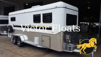 (Square Roof)2 Horse Angle Load Camping Horse Float