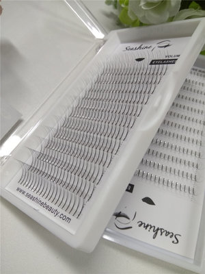China High quality Volume 3D Eyelash Extensions 100% hand made Individual Fans Lash Natural supplier