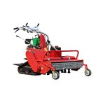 Garden crawler type gas engine lawn mower