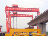 customized  girder hoist crane