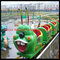 Thrilling rides! kids amusement rides cheap backyard mini wacky worm roller coaster supplier