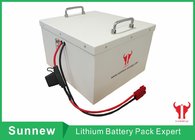 Low-speed Electric Vehicle Lithium Battery Pack, 24V 100Ah, EV Power NCM Polymer Lithium Battery , LSVs Li-Ion Battery