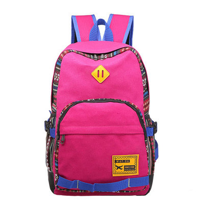 China Laptop bags college school backpack pink best backpacks  purse supplier