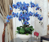 Wholesale Potted Orchids Artificial Flower Arrangements