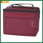 Insulated Double High Quality Customized Insulated Frozen Lunch Bags