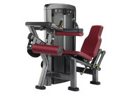 gym equipment  Seated Leg Curl XH908